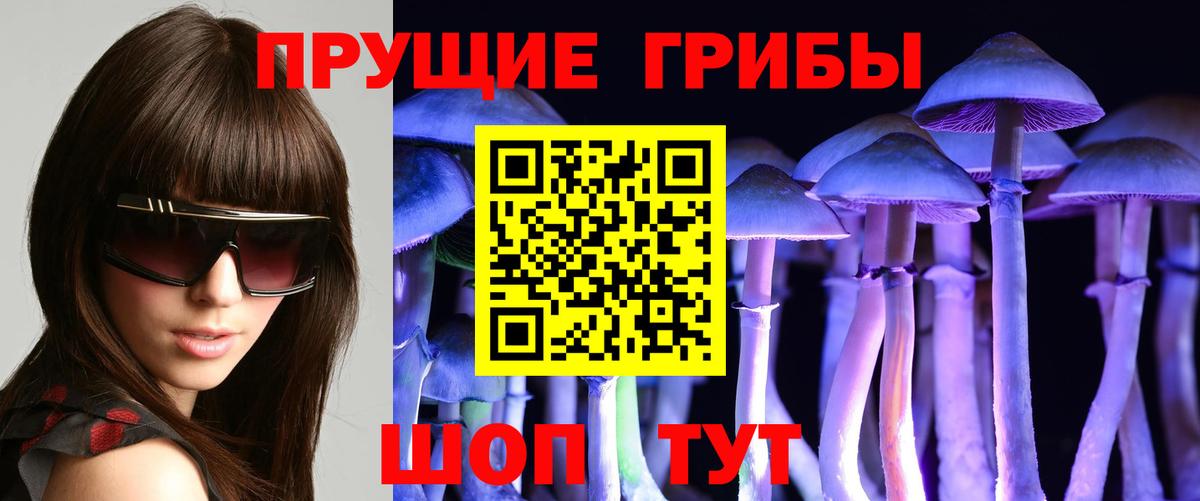 Галлюциногенные грибы прущие грибы  Вход с VPN  Стрежевой  Псилоцибиновые грибы GOLDEN TEACHER 